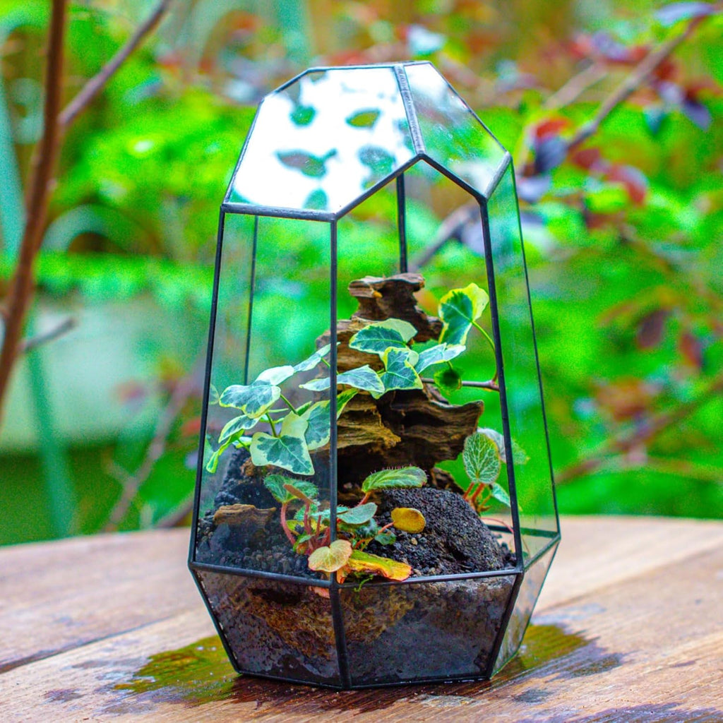 No Door Geometric Glass Terrarium Planter for Small Succulent, Small Cacti, Black Irregular Opened Terrarium Pot, Indoor Home Garden Office Tabletop Decor, 6.5" X 5.7" X 9.8" (No Plants)