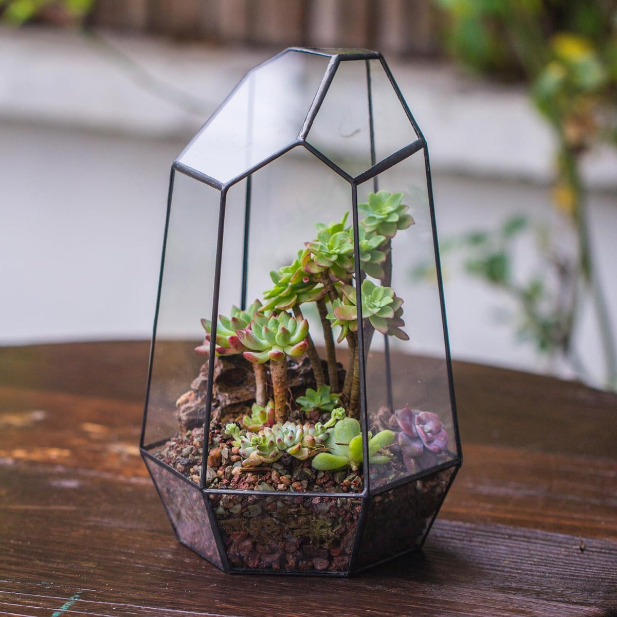 No Door Geometric Glass Terrarium Planter for Small Succulent, Small Cacti, Black Irregular Opened Terrarium Pot, Indoor Home Garden Office Tabletop Decor, 6.5" X 5.7" X 9.8" (No Plants)