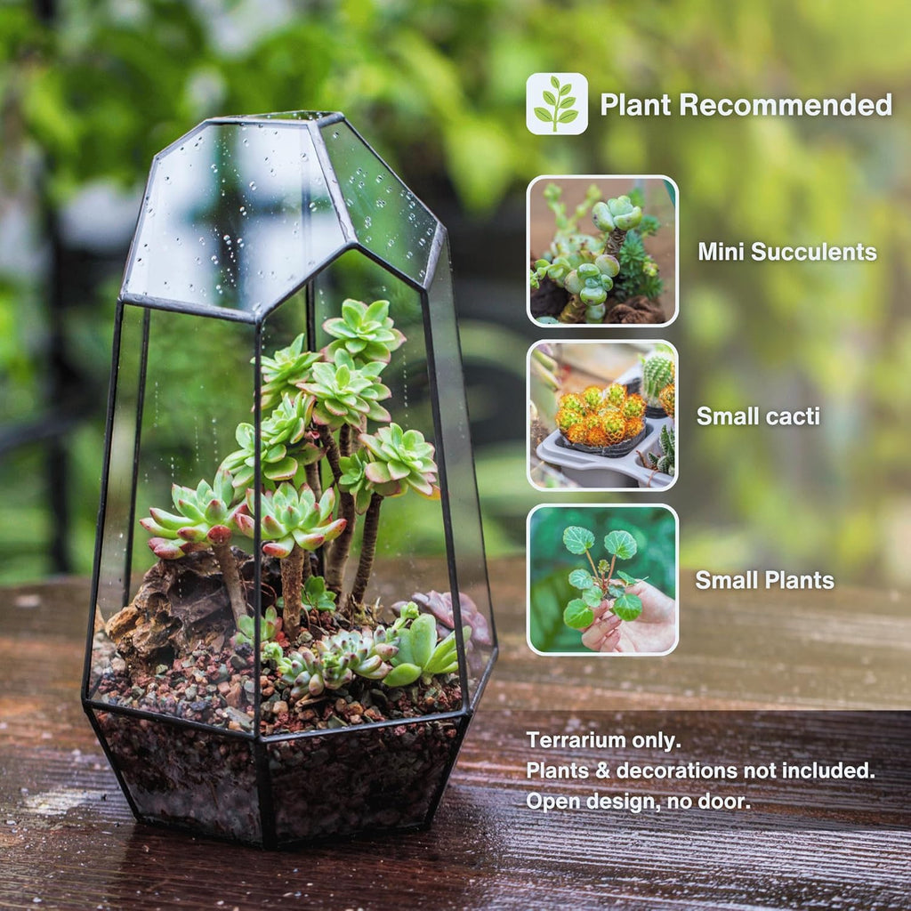 No Door Geometric Glass Terrarium Planter for Small Succulent, Small Cacti, Black Irregular Opened Terrarium Pot, Indoor Home Garden Office Tabletop Decor, 6.5" X 5.7" X 9.8" (No Plants)