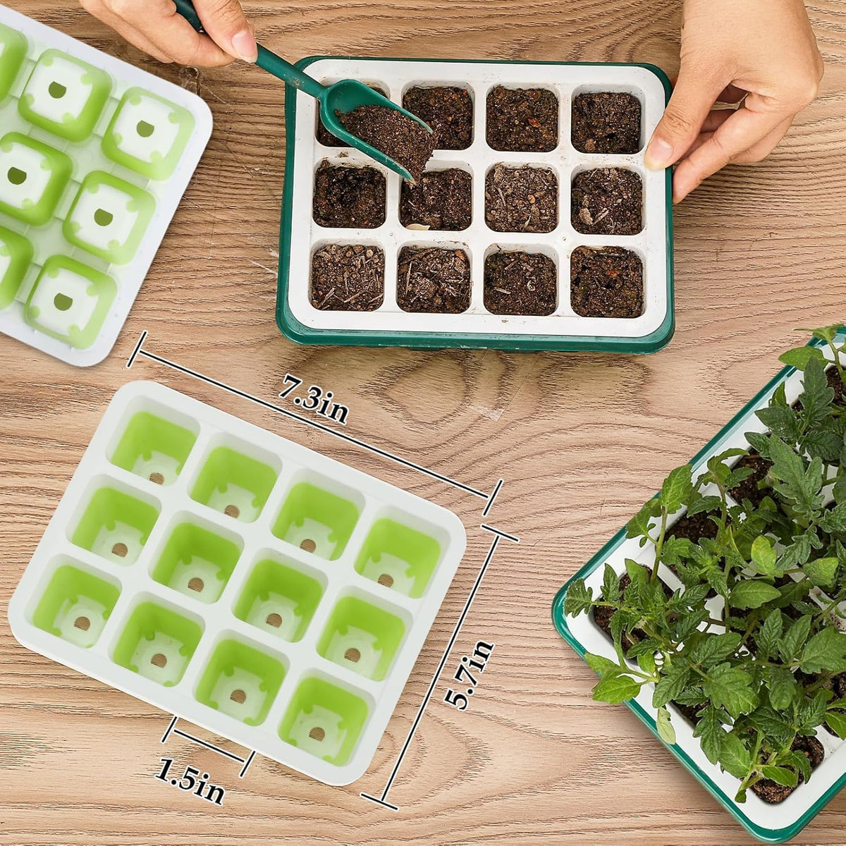 6Pcs Reusable Seed Starter Kit, 72 Cells Seed Starter Trays, Silicone Seedling Starter Trays for Starting Plant Seeds with Flexible Pop-Out Cells, Indoor Gardening Plant Germination Trays