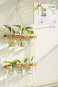 Plant Propagation Station Wall Hanging with 2 Tiered Wooden Stand | Plant Terrarium for Hydroponics Plants, Unique Gardening Gifts for Women Mom Plants Lovers - 6 Bulb Glass Vases